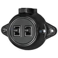 ANTIQUE TWO BUTTON ONE WAY SWITCH 10А 250V BLACK                                                                                                                                                                                                               