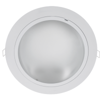 GL201E DOWNLIGHT WHITE 2XE27